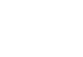 Budweiser AE